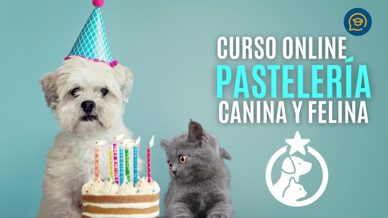 Pasteleria canina y felina